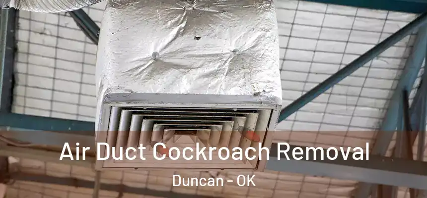  Air Duct Cockroach Removal Duncan - OK