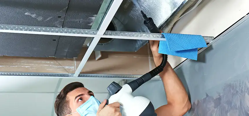 Our Air Duct Rodent Removal Services in Duncan, OK