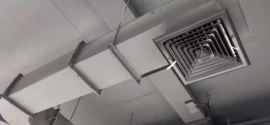 Restorative Allergy Relief Vent Cleaning – Coil, Blower & Housing Detail in Duncan