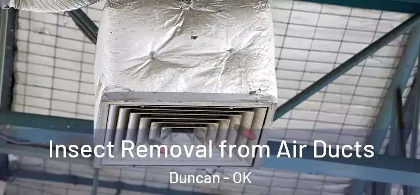  Insect Removal from Air Ducts Duncan - OK