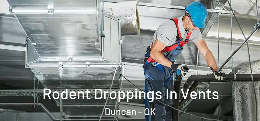  Rodent Droppings In Vents Duncan - OK