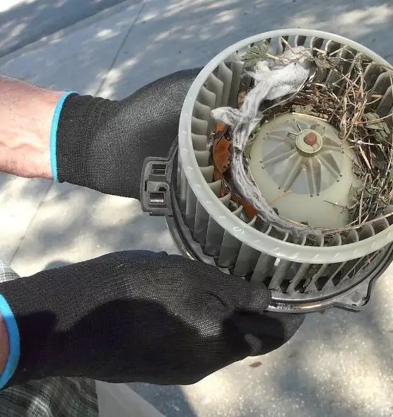 About Air Duct Mice Removal in Duncan, OK