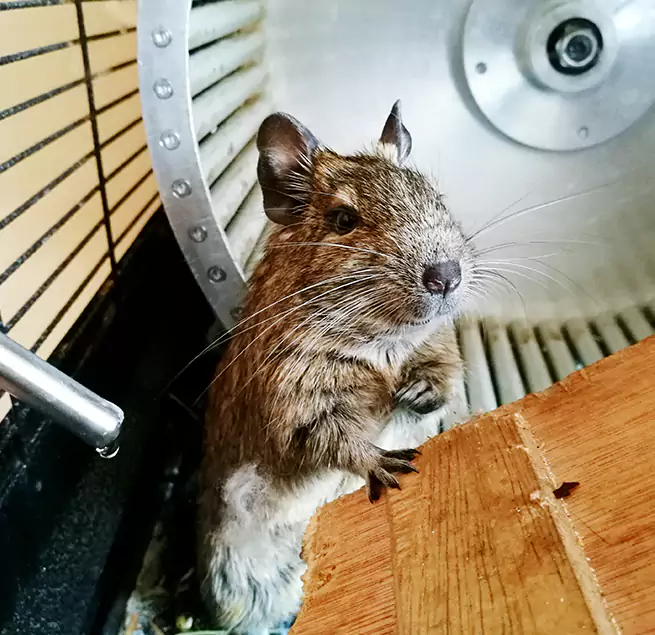 Why Homeowners & Businesses Trust Us Duncan, OK